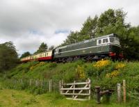D5394 brings the Diners Special into Broomhill on Sunday afternoon, 18 June 2017.<br><br>[Clive Meredith 18/06/2017]