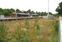 An attractive meadow now occupies the north east corner of the Tweedbank station site, containing various grasses, wild flowers etc. (<I>colloq. 'weeds'</I>) Part of the area is seen here looking north from the car park fence on 16 June, just as the 1121 service to Edinburgh pulls away from platform 1. <br><br>[John Furnevel 16/06/2017]