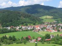 A southbound Schwarzwaldbahn train passes through classic Black Forest scenery by the village of Gutach, en route from Karlsruhe to Konstanz, on 2nd June 2017. Gutach is the home of the Bollenhut, a traditional womens' hat topped with pom-poms, which is a symbol for the Black Forest as a whole.<br><br>[David Spaven 02/06/2017]