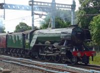 <h4><a href='/locations/T/Tilehurst'>Tilehurst</a></h4><p><small><a href='/companies/G/Great_Western_Railway'>Great Western Railway</a></small></p><p>Flying Scotsman whizzes through Tilehurst with the Cathedrals Express on 13th June 2017. Photo courtesy of Peter Caton. 104/132</p><p>13/06/2017<br><small><a href='/contributors/Ken_Strachan'>Ken Strachan</a></small></p>