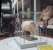 <I>Dilly-Dollys</I>: Wylam Dilly, the second oldest surviving locomotive in the world, and Dolly the Sheep on display at the National Museum of Scotland.<br><br>[John Yellowlees 01/05/2017]