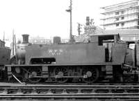 WPR No 19 at Methil, 1970.<br><br>[John Furnevel 17/02/1970]