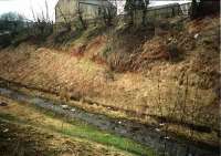 The site of this halt which had timber platforms. The site is now overgrown. [1988?]<br><br>[Ewan Crawford //]