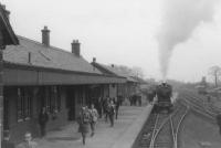 NB256 with Scottish Rambler.<br><br>[John Robin 30/03/1964]