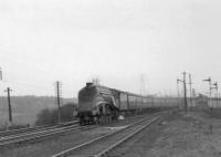 60010 passes Greenhill with Aberdeen train.<br><br>[John Robin 30/03/1964]