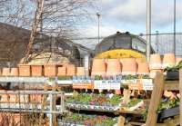 Some interesting bargains in the sale at the Motherwell B&Q garden centre in February 2006.<br><br>[John Furnevel 25/02/2006]