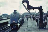 60019 at Stirling with last public run to Aberdeen.<br><br>[John Robin 03/09/1966]