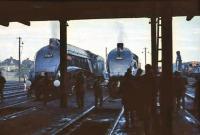 60019 <I>Bittern</I> stands alongside 60024 <I>Kingfisher</I> at Ferryhill Shed in September 1966.<br><br>[John Robin 03/09/1966]