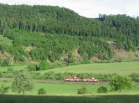 Early on 9th June 2017, the author's efforts to photograph a local freight<br>
train at Beuron (on the Tuttlingen-Sigmaringen line) are thwarted for the<br>
second time, as double-headed Class V180 light diesels trundle westwards<br>
along the valley of the Danube. This railway sees several freight trains a<br>
week, conveying chemicals, oil and steel - sometimes in wagonload formation<br>
- as well as intermittent timber traffic.<br>
<br><br>[David Spaven 09/06/2017]