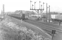 D3008 passing Hurlford with an up goods train on 22 May 1961. The class 08 was delivered new to nearby Hurlford shed from Derby Works in December 1952 and remained on the allocation there until the depot was eventually closed towards the end of 1966.<br><br>[G H Robin collection by courtesy of the Mitchell Library, Glasgow 22/05/1961]