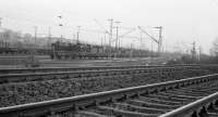 A view across the tracks of two lines of withdrawn DB steam locos in the last weeks that steam traction was in use.<br><br>[John McIntyre /08/1977]