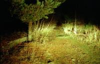 The north end of Grantown-on-Spey West lit by headlights in 1993. The remains of one of the low platforms, north of the barrow crossing, is on the left. The black roofed Nissen huts are off to the right.<br><br>[Ewan Crawford //1993]