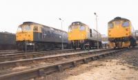 Two BRCW Class 27s, and a Brush 47, in the stabling area next to Aberdeen station in May 1987. The last of these Type 2s were withdrawn during August that year. Stabling for locos in Aberdeen is now at Clayhills or in the station platforms.<br>
<br><br>[Crinan Dunbar /05/1987]