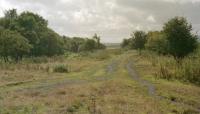 View south at Alton Heights Junction in 1996. To the right was the original line running to Coalburn, to the left the line to Poneil Junction. Alton is also sometimes spelled Auldton.<br><br>[Ewan Crawford //1996]