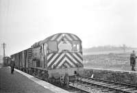 The last freight coupling up at Kelso on 29 March 1968, being watched by 'Wink' Henry and local photographer David Welsh. D3891 is carrying the unofficial <I>'Kelso Lad'</I> headboard. [See image 50190]<br><br>[Bruce McCartney 29/03/1968]