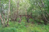 In a forest stands a buffer. This is the stub of the Snodgrass (Bogside) branch now cut back to close to the junction. The view looks to the junction. Initially a mineral line for Bartonholm Coal Pit No 1 it was later used as secondary access to the Ardeer works carrying both goods and, for a while, workers trains.<br><br>[Ewan Crawford 17/08/2017]