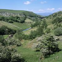 A distant view of Smardale Gill Viaduct from the south-west above Scandal Beck - from this distance the structure looks fairly insignificant. The Stainmore line once ran below what appear to be natural rock outcrops to the left of the picture, but are actually the remains of Smardale Quarry, once a major user of the railway (a derelict limekiln can be discerned towards the centre of the shot).  25th May 2017<br>
<br>
<br><br>[Bill Jamieson 25/05/2017]