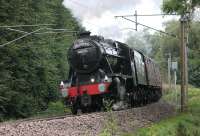 The last <I>Fellsman</I> of the 2017 season was entrusted to 8F 2-8-0 48151, seen here making a very spirited climb of the bank out of Lancaster on 29th August 2017. The final league table of this shortened programme is: 48151 - 2 appearances, 45690 - 2 and 46115 - 1. The Fellsman didn't run in 2016 due to the S&C closure. [See image 52375] for the 2015 league table. <br><br>[Mark Bartlett 29/08/2017]