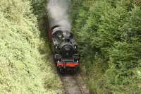 Ivatt 2-6-2T 41313, recently restored from Barry scrapyard condition to a working engine, is seen takking a passenger train through the greenery on the East Somerset Railway on 28th August 2017. It will soon leave the ESR and go back to the Isle of Wight Railway. Catch it whilst you can as they say.<br>
<br><br>[Peter Todd 26/08/2017]