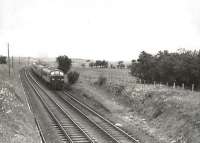 'Peak' type 4 no D11 is about to pass the site of Polquhap siding on 29 July 1961 at the head of a St Enoch - Leeds City train. <br><br>[G H Robin collection by courtesy of the Mitchell Library, Glasgow 29/07/1961]