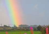 Southbound 380 just south of Byrehill Junction and rainbow.<br><br>[Ewan Crawford 07/09/2017]