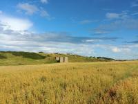 A view from the west of the remains of the viaduct just east of the Cruden Bay station site.<br><br>[Alan Cormack 15/08/2017]