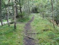 Looking south east on 6 September 2017 along the embankment that once carried the mineral line from Engine Road south towards the Gore Pit and the exchange sidings on the north side of the Waverley route west of Gorebridge station. Part of the surrounding area had been cordoned off recently while work was carried out on a burning bing associated with the nearby Emily Pit. Happily the problem has now been resolved and the restrictions lifted [see image 54902].<br><br>[John Furnevel 06/09/2017]