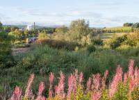 Southbound 380 approaching Dalry station. In the foreground was the Blair Iron Works of which nothing remains. By way of contrast is the DSM (formerly Roche) plant in the background left.<br><br>[Ewan Crawford 14/09/2017]