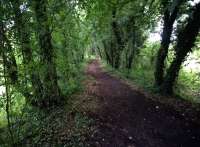 The footpath heading towards Kemble from Tetbury was recently extended, and makes a very pleasant (circa 2 mile) trackbed walk. View looks towards Kemble.<br><br>[Ken Strachan 18/08/2017]