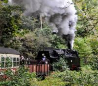 For Bill Jamieson!  HSB 997239-9 (one of the so-called 'New Steam Engines' built in the mid-1950s for use on the 1000 mm gauge system in the Harz) makes a spirited start out of Eisfelder Talmühle with the 14:08 train to Drei Annen Hohne on the 19th of September 2017.  Unfortunately, not taken from the open observation car immediately behind the locomotive, as recommended by Bill, but it still conveys how hard the engine is working.<br><br>[Norman Glen 19/09/2017]