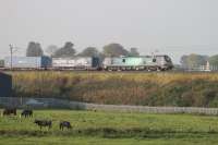 Running a few minutes ahead of schedule, 88002 <I>Prometheus</I> rolls the northbound <I>Tesco</I> onto the embankment at Bay Horse on 26th September 2017 but is ignored by the locals. <br><br>[Mark Bartlett 26/09/2017]