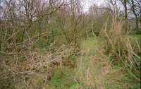 View south towards Giffen at Brackenhills. The platform was on the right. The line here started life as a mineral line serving the Glengarnock Iron Works before it was taken over by the Lanarkshire and Ayrshire Railway for their Kilbirnie branch.<br><br>[Ewan Crawford //1997]