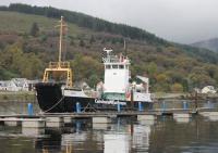 <I>MV Eigg</I>, now the oldest vessel in the Calmac fleet and the last of the landing craft type ferries, seen moored at the Holy Loch Marina in October 2017. Its last main use was on the Oban to Lismore route but since 2013 it has been a reserve vessel only. <br><br>[Mark Bartlett 23/10/2017]