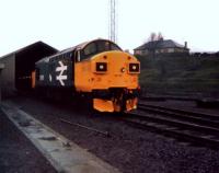 On a dismal open day at Eastfield Depot a well turned out Class 37 37085 stands at the old fueling shed. 17th May 1986.<br><br>[Gordon Steel 17/05/1986]