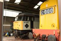 Taken while on conducted tour of the Toddington shed and yard on 17th October 2017. D8137 & 47 376 on shed.<br><br>[Peter Todd 17/10/2017]