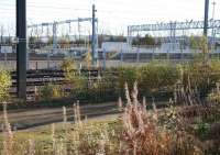 Scene at the south end of Millerhill Yard on the morning of 5 November 2017. View is east across the running lines towards the new cleaning and stabling roads, which appear to be more or less complete.<br><br>[John Furnevel 05/11/2017]