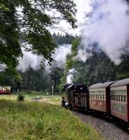 HSB 99 7239-9 approaching Drei Annen Hohne with the 14:08 from Eisfelder Talmühle on 19 September 2017.  The carriage at the left of the shot is the last one of the 15:06 train from Drei Annen Hohne to Brocken - for the front of the train [See image 61122].<br><br>[Norman Glen 19/09/2017]