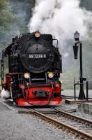 HSB 99 7239-9 preparing to take the 14:08 train from Eisfelder Talmühle to Drei Annen Hohne on 19 September 2017.  This locomotive is one of the batch of 17 New Steam Engines built in the 1950s for service on the 1000 mm gauge system in the Harz Mountains.  These 2-10-2Ts are powerful locomotives - they need to be to master the climb out of Eisfelder Talmühle [See image 61133].<br><br>[Norman Glen 19/09/2017]