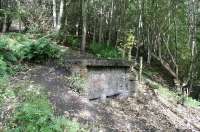 The sealed south portal of the tramway tunnel through the original (north) bing at Arniston, enabling waste material to be transported via a cable tramway to the tipping point on the south bing. For a map showing the route of the tramway [see image 61725].<br><br>[John Furnevel 06/10/2017]