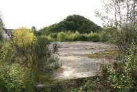 View south from the site of the Old Engine Pit, Arniston, in 2017 [see image 53535] with Engine Road running across the picture just beyond the nearest line of trees. Centre stage stands the original (north) bing, now covered in vegetation. <br><br>[John Furnevel 06/10/2017]