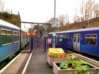 Rhubarb, rhubarb. Comings and goings at Mount Florida on 11 November 2017. A<br>
Circle service on the left takes the Cathcart line, as indicated by the toy signal. An incoming service draws in on the right.<br>
<br>
<br><br>[David Panton 11/11/2017]