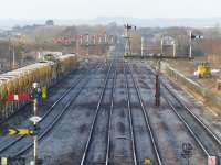 Before the cull - Sunday engineers possession at Barnetby looking towards Wrawby Junction. 8th February 2015.<br>
<br>
<br><br>[Graeme Blair 08/02/2015]