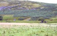 The remains of the water tower still standing alongside the trackbed of the Talla Railway, photographed looking west from the A701 in the summer of 2008. The long demolished wooden platform once used by workers on the Talla Dam project stood alongside. The River Tweed is behind the camera and 'The Crook Inn' itself is just off picture to the right [see image 60450].<br><br>[John Furnevel 11/08/2008]