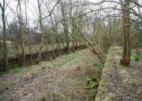 Platform remains at Tillietudlem, South Lanarkshire, on 8 March 2007, looking north towards Netherburn. The station closed to passengers in 1951 with the line north to Dalserf closing completely in 1960. [See image 6401] [Ref query 25 November 2017]<br><br>[John Furnevel 08/03/2007]