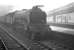 A foggy day at Carlisle three days before Christmas in 1962. View back towards bay platform 7, with the 1.40pm to Edinburgh Waverley via Hawick awaiting its departire time. Locomotive in charge is A3 Pacific 60097 <I>Humorist</I>. <br><br>[K A Gray 22/12/1962]