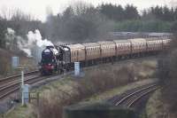 Ex LMS 8F no 48151 comes to a halt at the signal protecting Farington Curve Jct around 8 minutes early on 3 December 2017 whilst working the first of WCRC's three Santa Specials for 2017. The train had started in Lancaster and ran via Carnforth, Hellifield and Blackburn before returning to Lancaster and Carnforth. 47804 was on the back of the train, possibly to ensure the passengers were kept warm in case steam heat didn't reach the rear of this lengthy special.<br><br>[John McIntyre 03/12/2017]