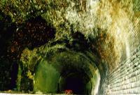 View south in the northern of the two tunnels at Glenfarg in 1995.<br><br>[Ewan Crawford //1995]