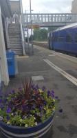 Dunblane: the new footbridge and planter at Dunblane.<br><br>[John Yellowlees 04/07/2017]