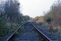 This is the eastern entry and exit chord to Alloa New Yard near Alloa West signal box in November 1985. Signal 37 and points 38 (Alloa West frame) are shown. Running straight ahead is the yard up arrival line while the branch to the right is the yard down departure line. The last traffic to use these lines consisted of sporadic coal trucks to and from Alloa Co-op siding accompanied by a Class 20 and brake van. These movements ended around 1982, but the redundant infrastructure was left in place for a few years before being formally closed and dismantled.<br><br>[Mark Dufton /11/1985]