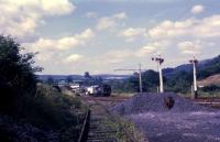 A view from Buckfastleigh yard towards Ashburton on 30 July 1969 along the then Dart Valley Railway before the trackbed in the distance was taken over for the upgraded A38 trunk road.<br><br>[John McIntyre 30/07/1969]
